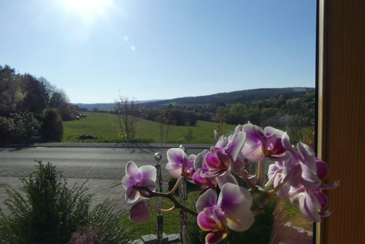 Fewo Sophia Apartment Idar-Oberstein Luaran gambar